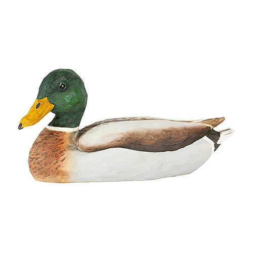 Gräsand Hane träfågel - Bild 2