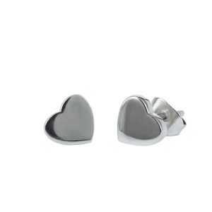 Elise Earrings Steel