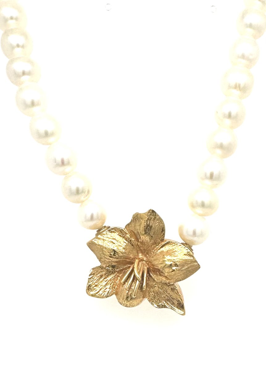 Per Borup Liten “Amarylis Belladonna” 647L