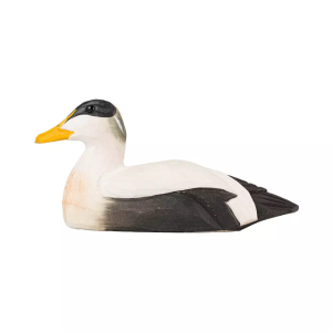 Kapsylöppnare Ejder träfågel