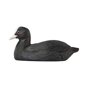 Kapsylöppnare Sothöna träfågel