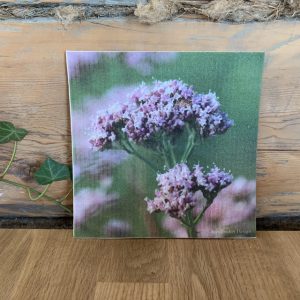 Disktrasa ”Strandblomma”Sundboden Design