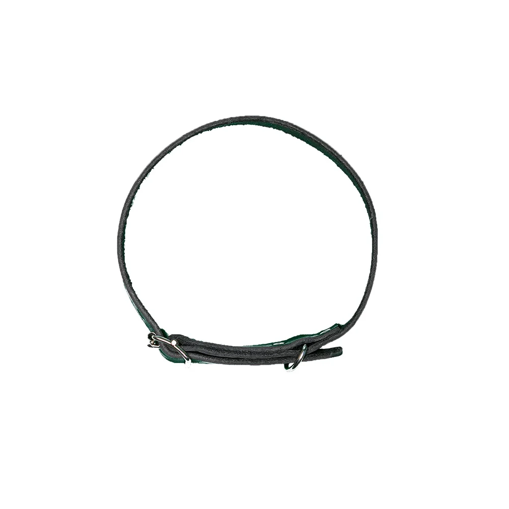 Dog collar 25mm