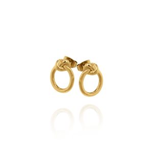 Never give up Earrings Gold